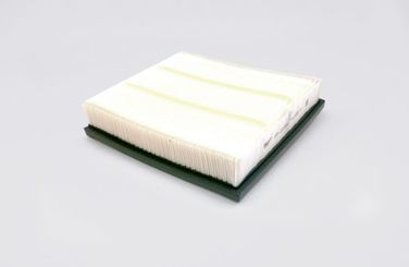 BIG Filter GB-95030 Фильтр Воздушный - 1