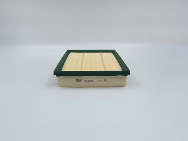 BIG Filter GB-95030 Фильтр Воздушный - 3