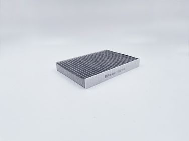 BIG Filter GB-9824/C Фильтр салона угольный - 2