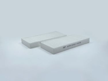 BIG Filter GB-9974 Фильтр салона - 2