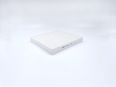 BIG Filter GB-9982 Фильтр салона - 2