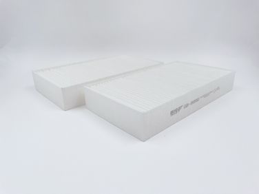 BIG Filter GB-9990 Фильтр салона - 2