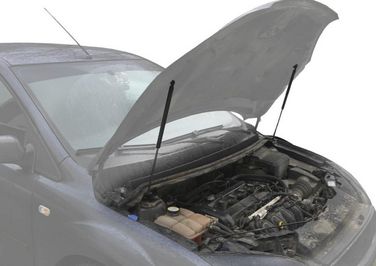 Rival UFDFOC012 (Автоупор) Амортизаторы капота Ford Focus 2 - 2