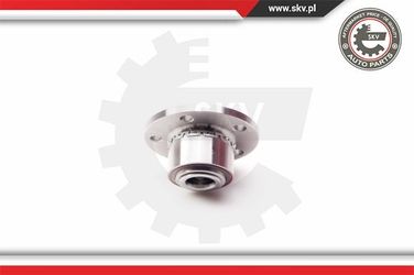 ESEN SKV 29SKV005 Комплект подшипника - 4