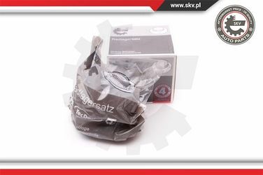 ESEN SKV 29SKV005 Комплект подшипника - 5