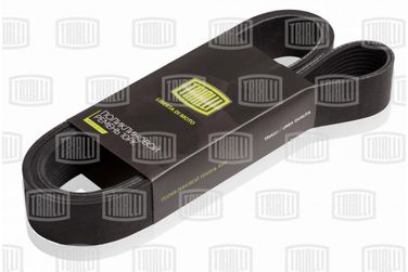 Trialli 10PK1703 Ремень поликлиновой - 1