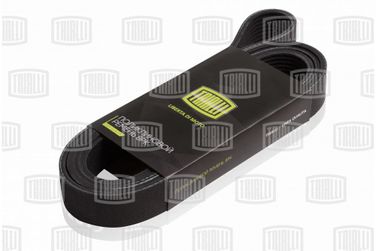 Trialli 8PK2166 Ремень поликлиновой - 1