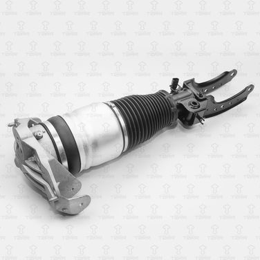 TORR DV3106L Амортизатор - 1