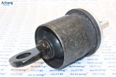 Arirang ARG12-1604 Сайлентблок задней балки - 2