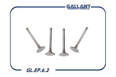 Gallant GL.EP.6.2 Клапана впуск+выпуск - 2