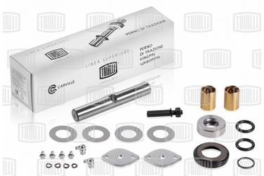 Trialli SH 0320 Ремкомплект поворотного кулака для а/м ГАЗ 3302 (кмпл. 1 шкворень c подшип.) - 1