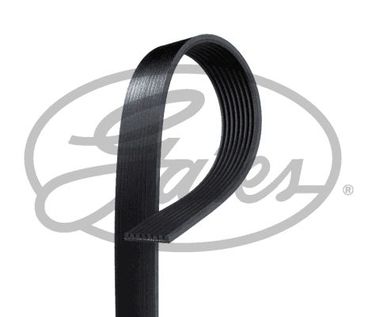 Gates 8PK1289HD / 8pk1289es Ремень поликлиновый - 1