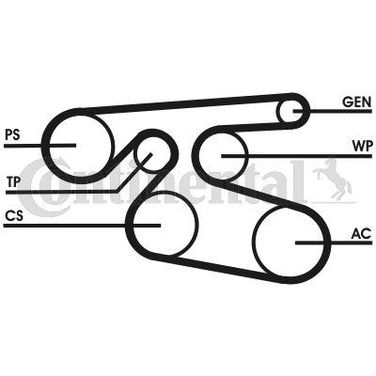 CONTINENTAL CTAM 7PK2000 Belt - 1