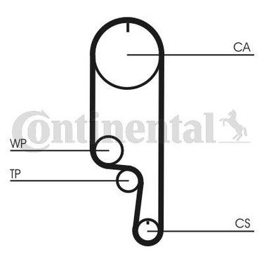 CONTINENTAL CTAM CT1008K2 Belt Kit - 3