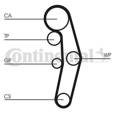 CONTINENTAL CTAM CT1028WP5 Water Pump-/Timing Belt Set   - 3