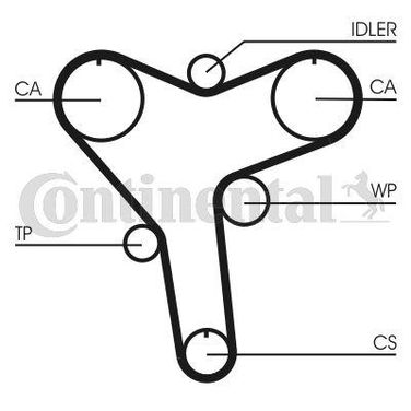 CONTINENTAL CTAM CT1029 Belt - 3