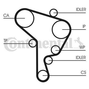 CONTINENTAL CTAM CT1044 Belt - 5
