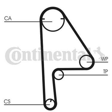 CONTINENTAL CTAM CT1081 Belt - 3
