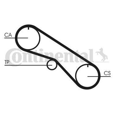 CONTINENTAL CTAM CT1082 Belt - 3