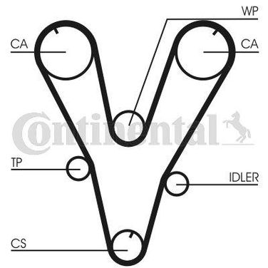 CONTINENTAL CTAM CT1085 Belt - 4