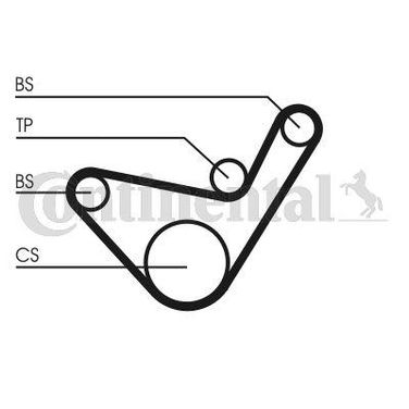 CONTINENTAL CTAM CT1107 Belt - 4