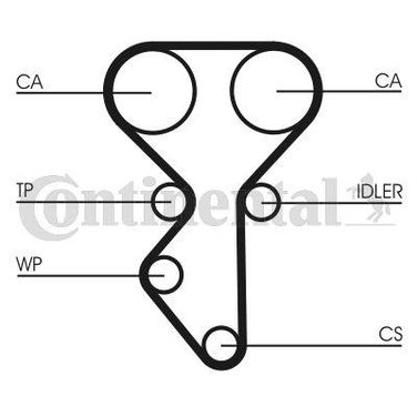 CONTINENTAL CTAM CT1137 Belt - 4