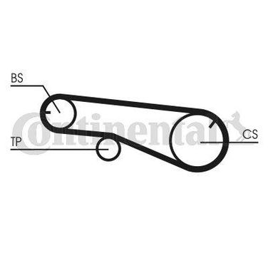 CONTINENTAL CTAM CT1141 Belt - 4