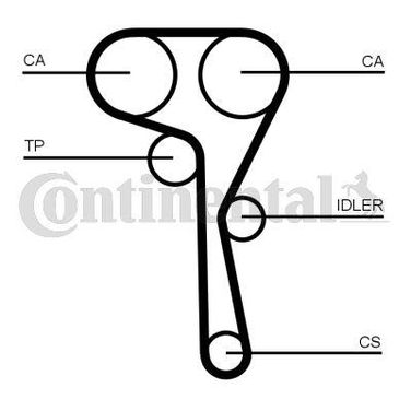 CONTINENTAL CTAM CT1167 Belt - 4