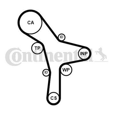 CONTINENTAL CTAM CT1176 Belt - 3