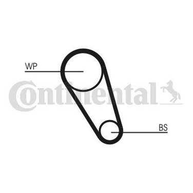 CONTINENTAL CTAM CT1185 Belt - 4