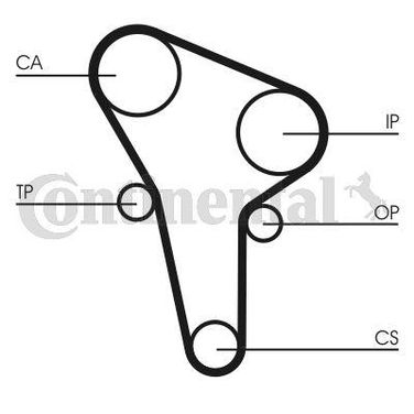 CONTINENTAL CTAM CT513 Belt - 4