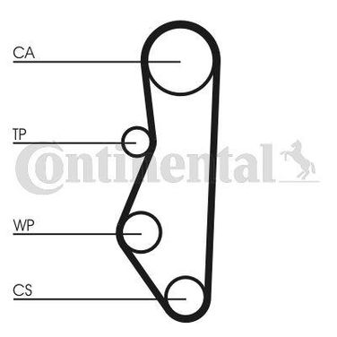 CONTINENTAL CTAM CT527K2 Belt Kit - 3