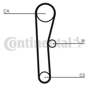 CONTINENTAL CTAM CT536 Belt - 3