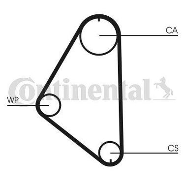 CONTINENTAL CTAM CT558 Belt - 3
