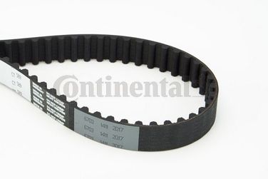 CONTINENTAL CTAM CT589 Belt - 3