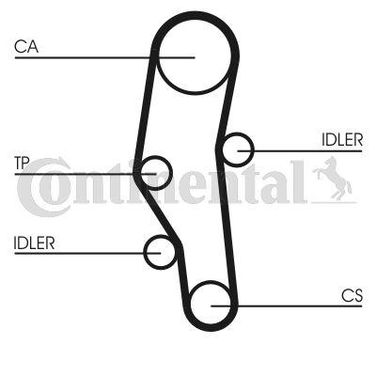 CONTINENTAL CTAM CT589 Belt - 4