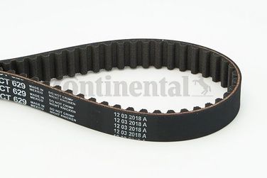 CONTINENTAL CTAM CT629 Belt - 3