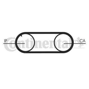 CONTINENTAL CTAM CT645 Belt - 4