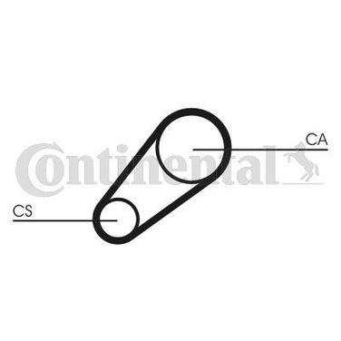CONTINENTAL CTAM CT696 Belt - 3