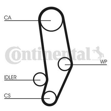CONTINENTAL CTAM CT704 Belt - 4