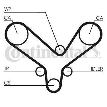 CONTINENTAL CTAM CT726K1 Belt Kit - 3