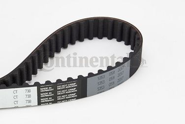 CONTINENTAL CTAM CT738 Belt - 3