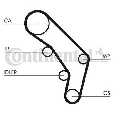 CONTINENTAL CTAM CT755 Belt - 4