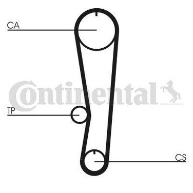 CONTINENTAL CTAM CT757 Belt - 4
