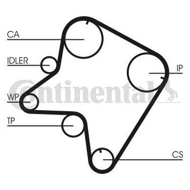 CONTINENTAL CTAM CT762 Belt - 3