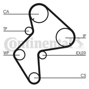 CONTINENTAL CTAM CT775 Belt - 3