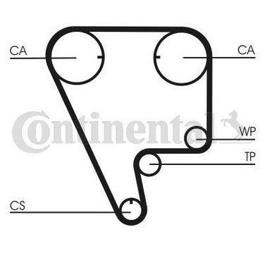 CONTINENTAL CTAM CT794 Belt - 3
