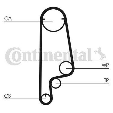 CONTINENTAL CTAM CT799 Belt - 3