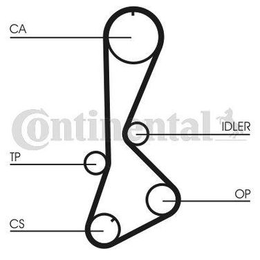 CONTINENTAL CTAM CT828 Belt - 4