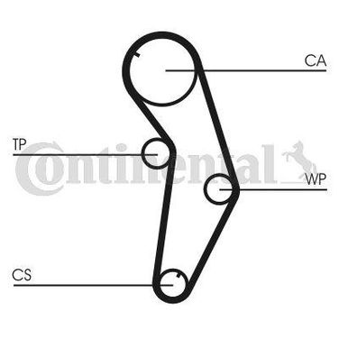 CONTINENTAL CTAM CT841 Belt - 3